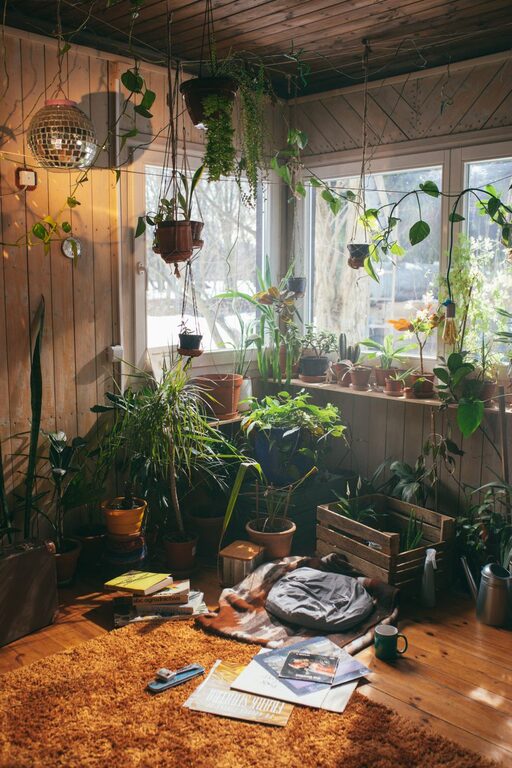 Enhance Your Home: The Benefits of Indoor Plants in Décor